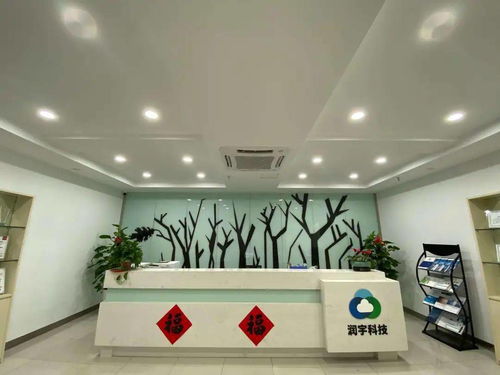 高新區優秀企業及產品展示之三 高效便捷，專業賦能——記區內卓越票務代理服務企業